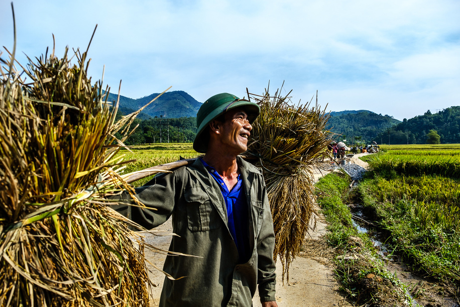 A farmer in Yen Bai province