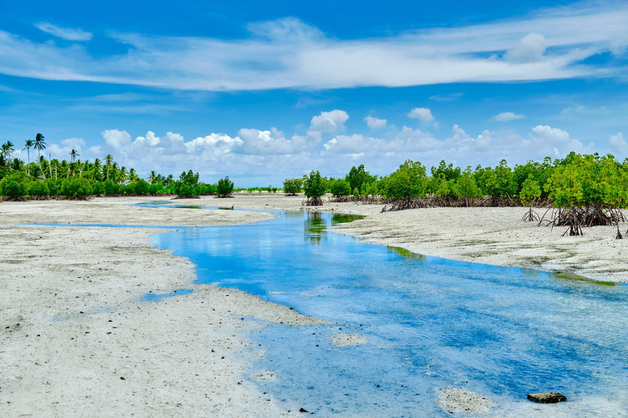 Flooded shoreline area in Kiribati, a global warming effect.
