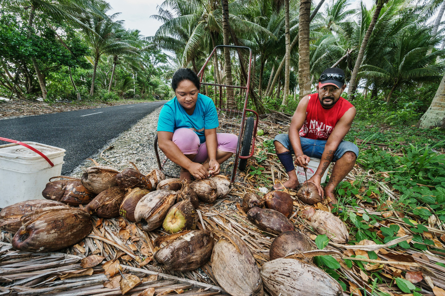 A couple collecting coconuts in Funafuti